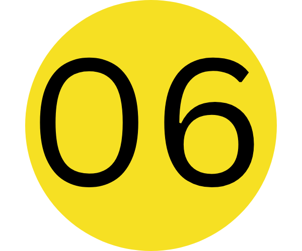 06